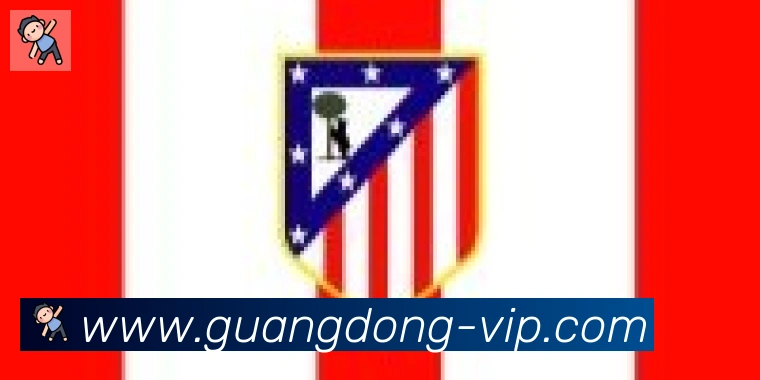 广东体彩合作伙伴